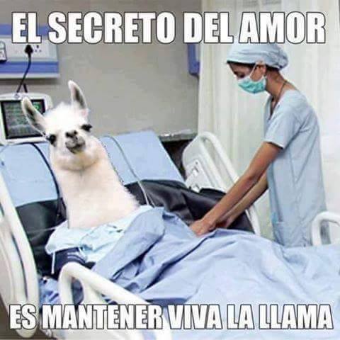 FUTUBANDERA ¡ES LA LUUUZ!