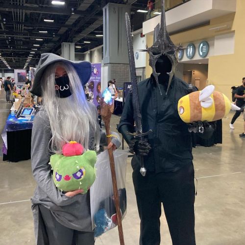 Here we have Gandalf with a prickly purr, and a Ring Wraith holding “Sting” ! Fantastic cosplay by @