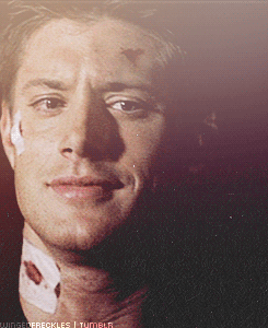 wingedfreckles:  ▸ spn meme        ➥ one hunter - Dean Winchester 