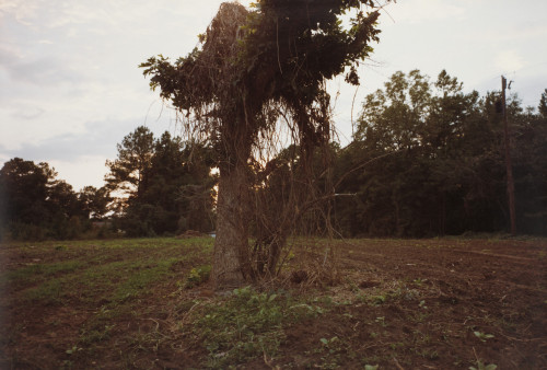 William Eggleston, Andesonville, Georgia,1976