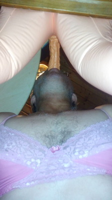 Sissyschwein Morgengebet 2