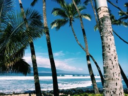 Silky-Sand:  Tasha-Mahina:  South Swells Are Beginning   Boho ⌖ Indie