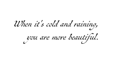 Rumi, from Enlightened Heart: An Anthology of Sacred Poetry; “When It’s Cold,”