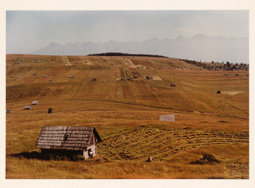 leregretdestempspasses:Doščanka near Liptovská Teplička, Slovakia 1965  (Karel Skřipal)