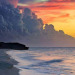 surfgirl66:psychedelic-surf-freaks:Good morning 🌞 