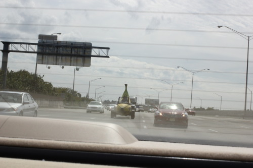 boredology: jeffrubinjeffrubin: When I was in Florida last week I saw a car shaped like a banana. Th