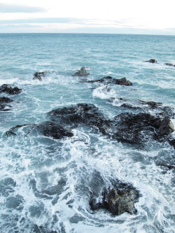 oceane-water:  vacants:  Kelp Foam (by Ure.Eljay)