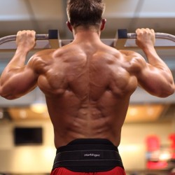 Drwannabe:  Perry Merlotti’s Lats