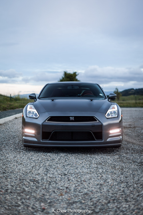 kchow510:  Godzilla. 