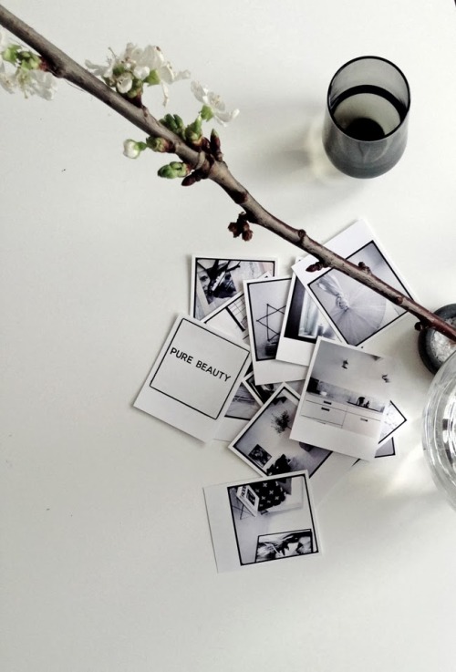 hbi199x:  silver-blonde:  Photo by Pella Hedeby  follow for similar posts 