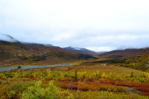 Tombstone Territorial Park 