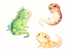 fluffysheeps: Lizard friends! 🦎✨