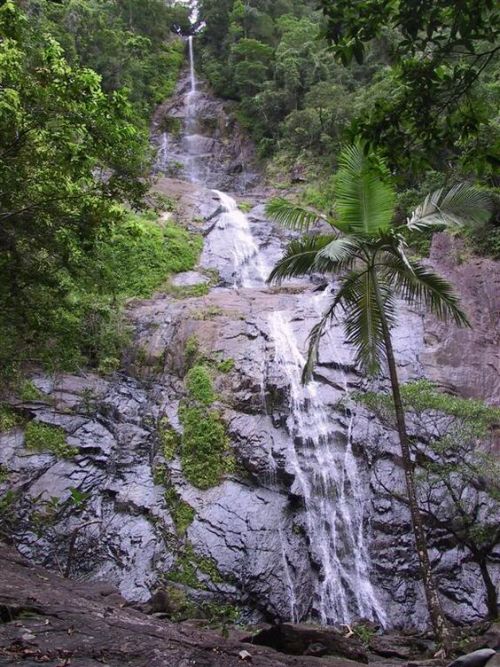 oceaniatropics: Hidden waterfall, Elands, New South Wales, Australia