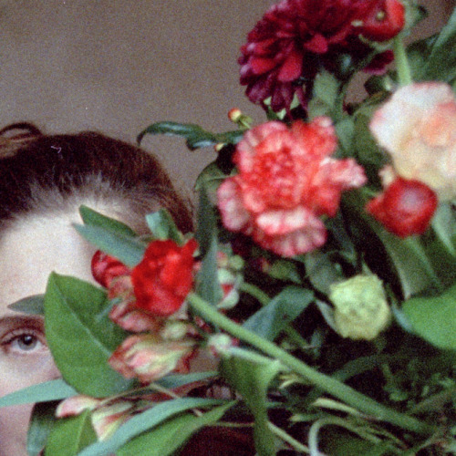 foxmouth: Fleurs, 2015 | by Jasmine Deporta  