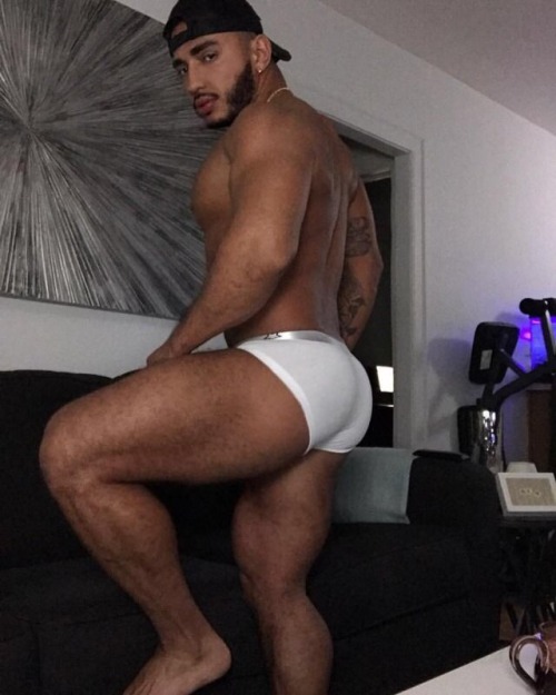 asskingz:  Follow @asskingz for ass 24/7!