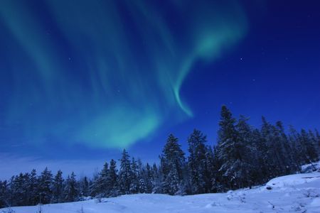 gravitationalbeauty:  Aurora through the trees by Ron Ross