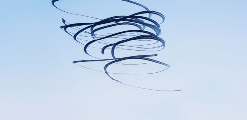 new-aesthetic:  Ornitographies : Xavi Bou Bou snaps hundreds of photos of birds in flight and stitch