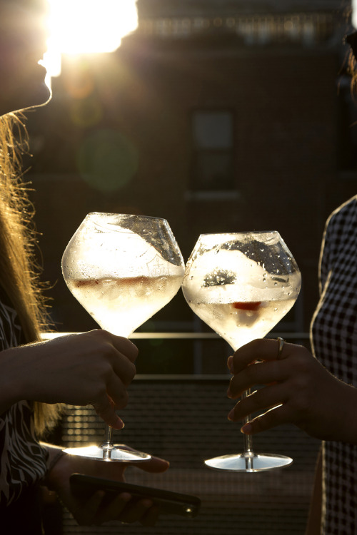 Digital Fashion Drinks on the Tumblr roof. Champagne by Veuve Clicquot. Photos by Julia Chesky. 