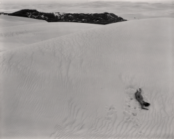 nervoservo: Edward Weston (American, 1886 - 1958) - Nude, 1939  