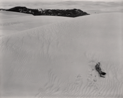 nervoservo: Edward Weston (American, 1886