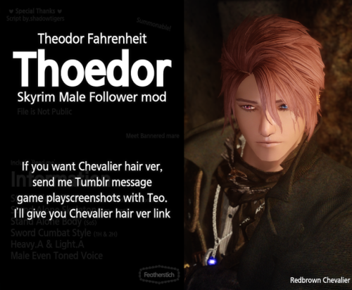 Theodor Fahrenheit Featherstich Skyrim Male FollowerFile is not changed 180706ver. (but, removed bla