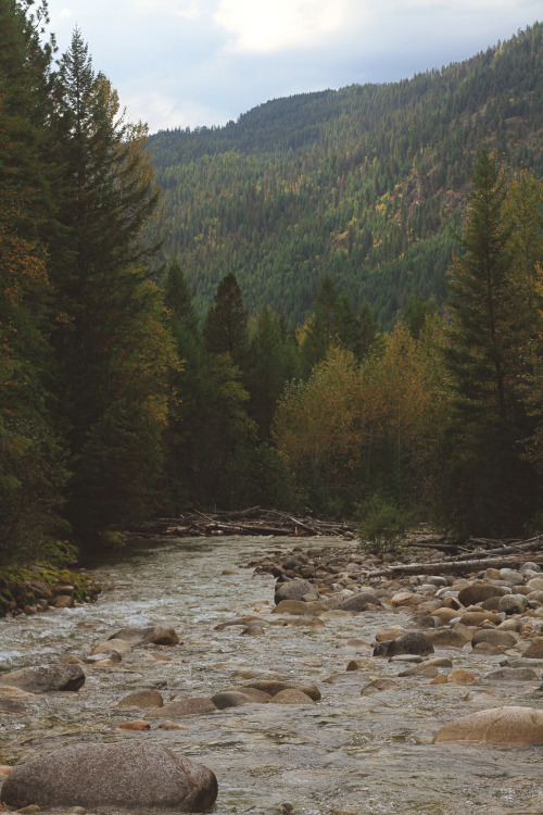 predictablytypical:Fall through the British Columbia Mountains