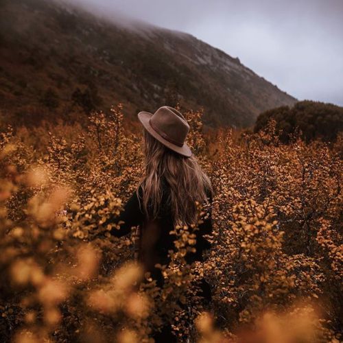 cozyinautumn:I can feel the crisp air already, can you fall lovers? 