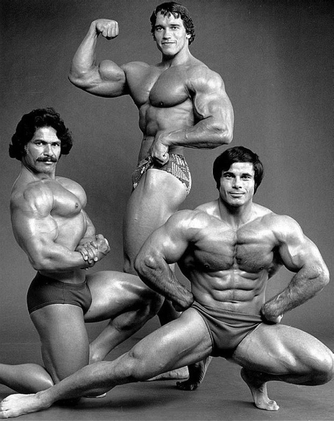 mitos:  Ed Corney, Arnold Schwarzenegger, and Franco Columbu (1973)   Old school