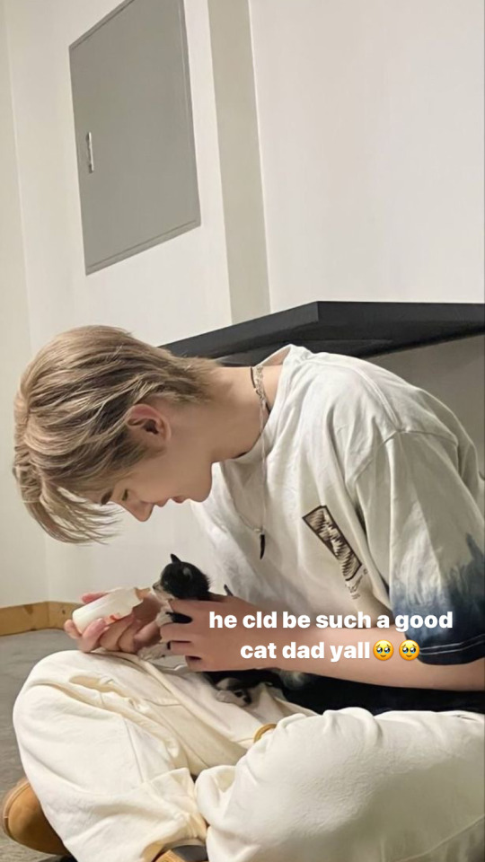 Stories If He Was Your Boyfriend Park Sunghoon