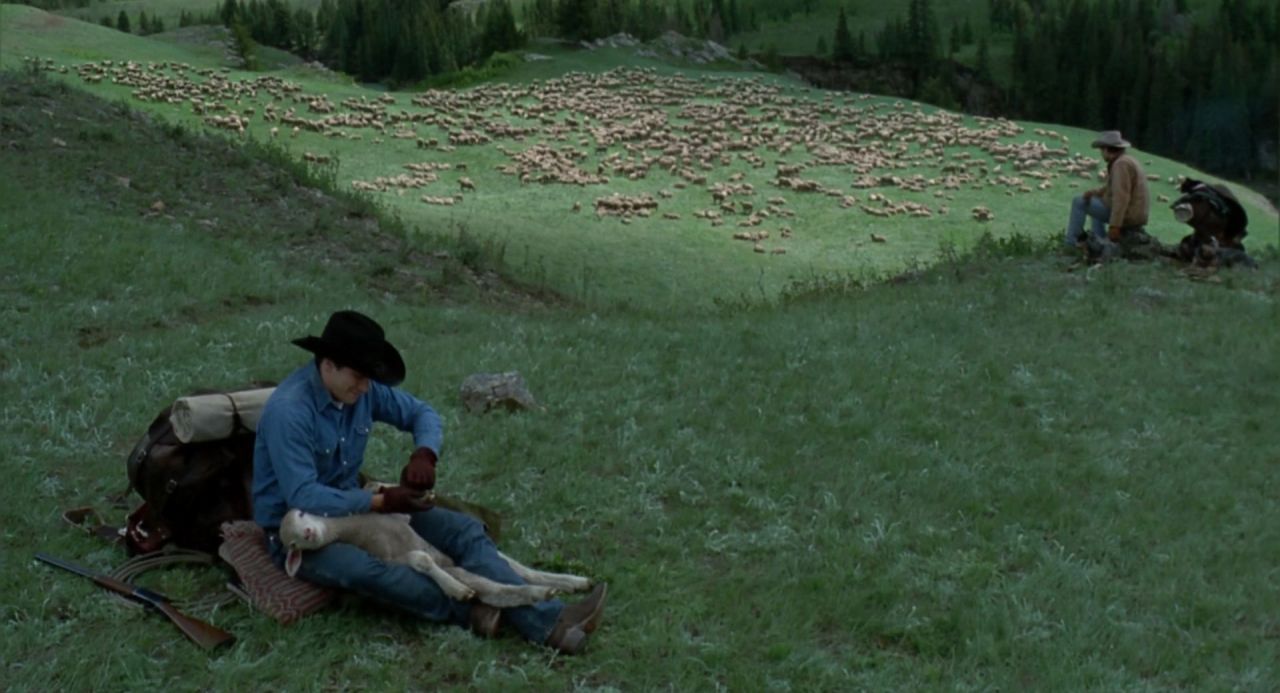 imakethemovies:  Brokeback Mountain DOP –   Rodrigo Prieto  Format -   Arricam