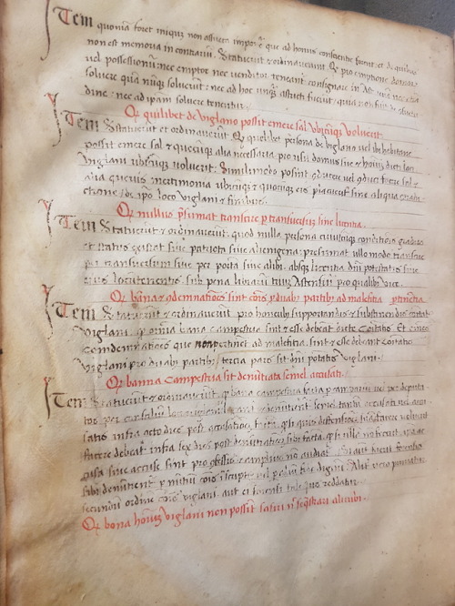 Ms. Codex 55 - Statuta communitatis Viglani edita per homines et communitatem dicti loci Viglani, di