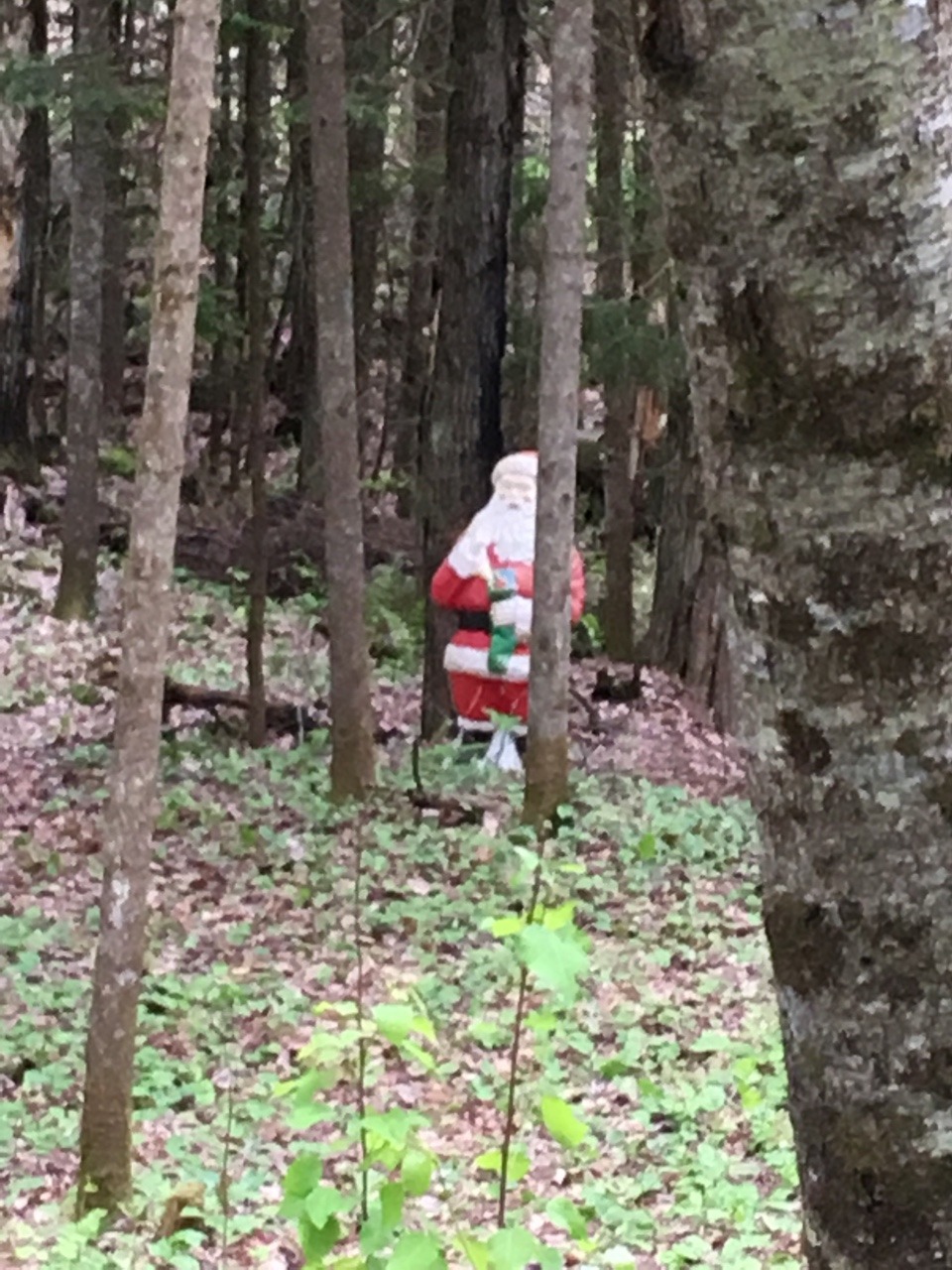 extremelycursedimages:  He sees you when youre sleepingHe knows when youre awake