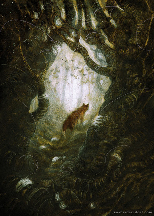 checanty:Fox Leads The Way‘This way, m'lady.’Interior artwork for the Cemetery Dance edition of Owen