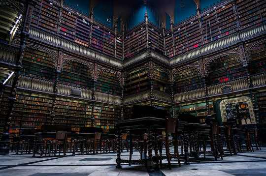 The Most Majestic Libraries In The World