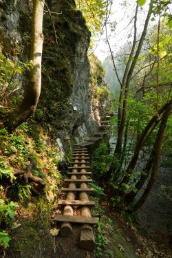 lori-rocks:  The wooden path in Slovenský