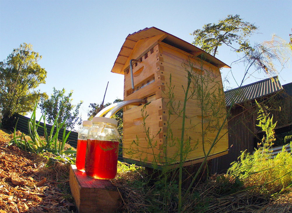 kedreeva:officialabortionist:itscolossal:WATCH: Honey on Tap: A New Beehive that