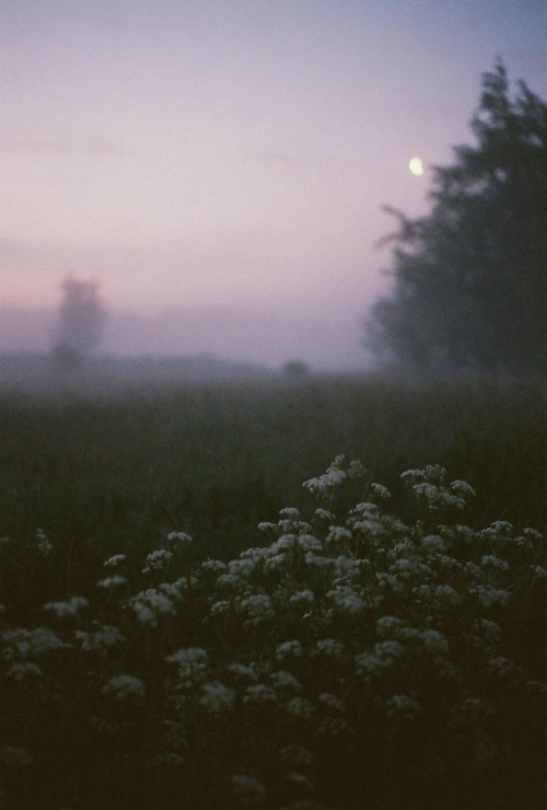 peaceful-moon: ☮ nature and good vibes ☾