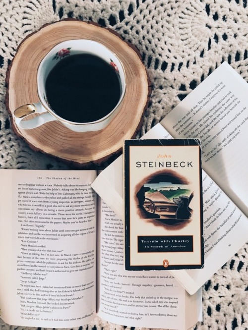 missdarcy87: On my tbr ✨