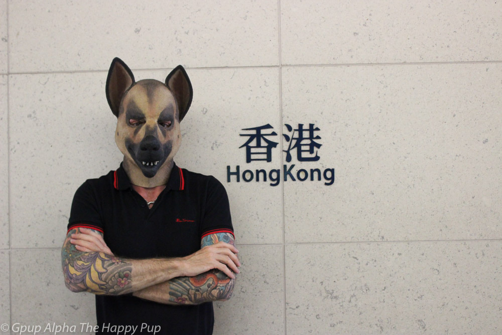 Hong Kong Pup! Love this vibrant city!You can learn more about human pup play at:http://SiriusPup.net