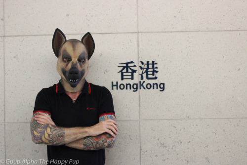 Porn Hong Kong Pup! Love this vibrant city!You photos