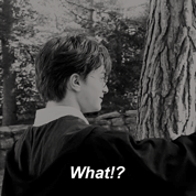 voldemxrt:???????: A Memoirby Harry James Potter