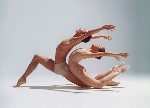 13allerina:  Ginny Gan and Bryan Chan. Stephen A'Court Photographer  