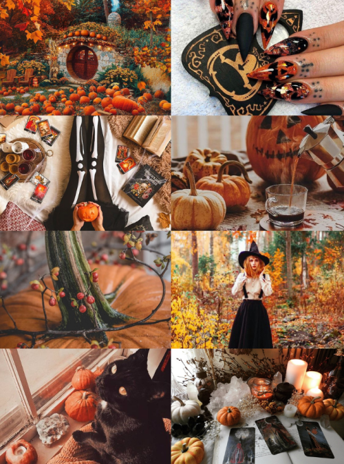 Witch Aesthetics // Pumpkin WitchRequestedAncient Egyptian Witch | Bookworm Witch | Night Witch | Py