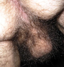 manlybush:Fuck yeh. Love this forest of pubes. Stunning picture. Damn hot!