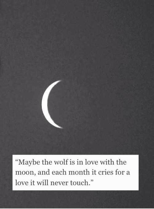 http://christinaowen5.tumblr.com/post/111111643451