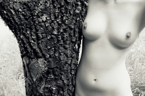 Porn photo barminacuranaphotos:  we are trees 