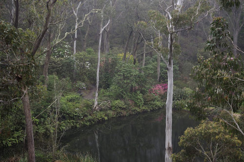 90377:Campbell Gardens by trisharooni