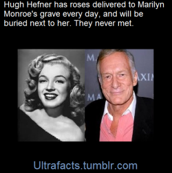 ultrafacts:    Joe DiMaggio vowed to deliver roses to the site every day after she passed, and when he passed away, Hugh Hefner took on the financial responsibility for the role.   (She was Playboy’s first cover girl)       He also bought the plot