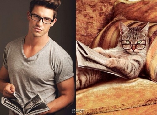 Des Hommes et Des Chatons ~ Meow ~ 