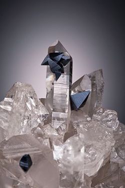 mineralists:  Anatase on Quartz Matskorhae